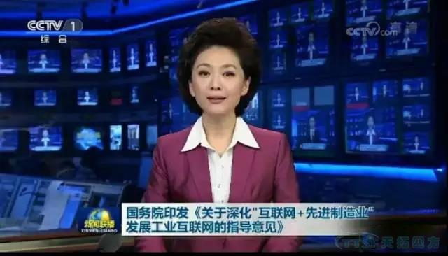 ������Ѷ����ҵ������Ծ��Ϊ���й�����2025��������ƫ��֮һ