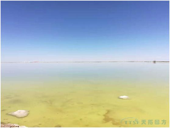 �ŵ�88������AS 410 DCS����ϵͳ���λ�����ҵ�е�Ӧ��