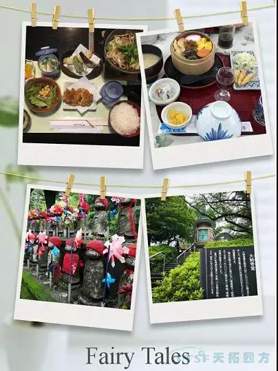 ʮ�������˶��� | �ŵ�88�ķ������Ÿ��տ���